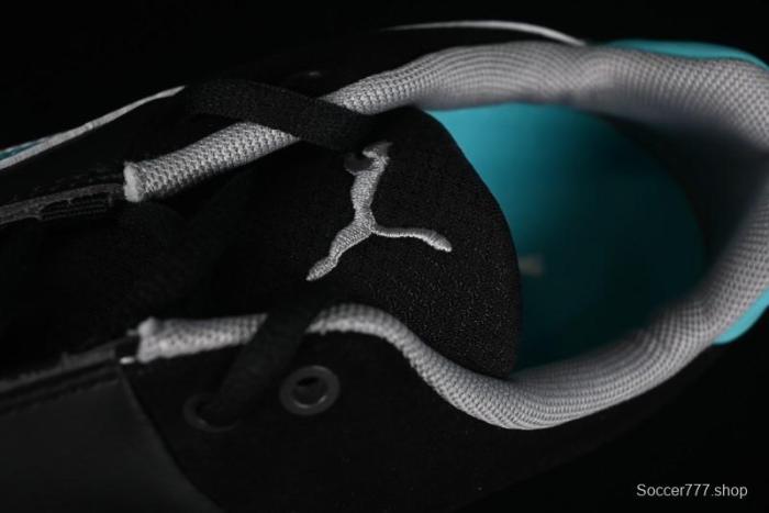 Puma Sparco Future Round Toe Lace-Up Low-Top Lifestyle Casual Shoes in Leather and Fabric - 308155-01