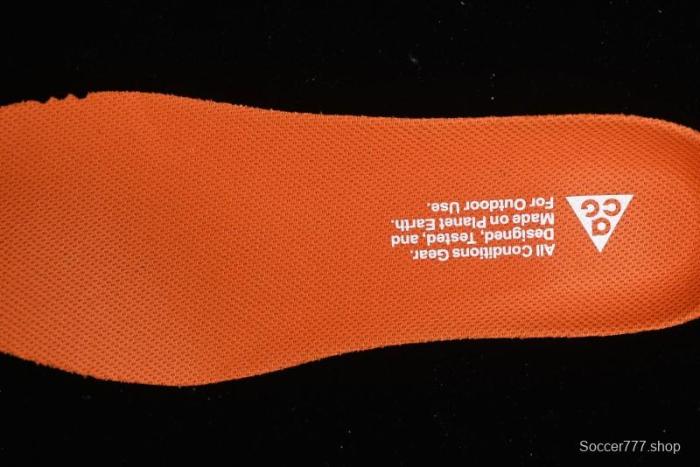 Nike ACG Mountain Fly 2 Low GTX SE Outdoor Hiking Shoes with GORE-TEX and React Foam - DV7903-100