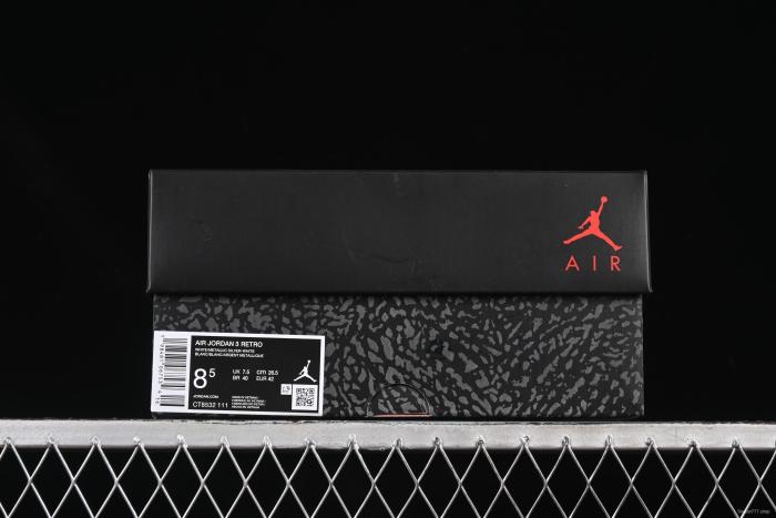 Nike Air Jordan 3 Retro  Pure Money  Basketball Shoes - CT8532-111