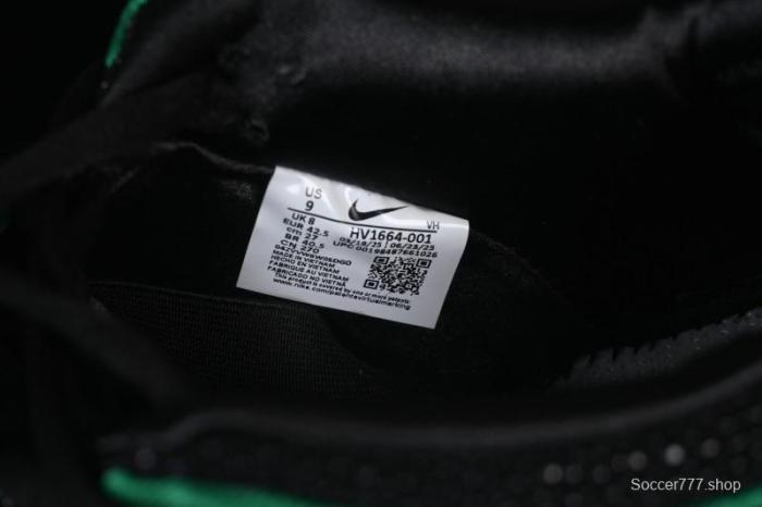 Nike Bronx Girls Skate SB Dunk Low Skateboarding Shoes - HV1664-001