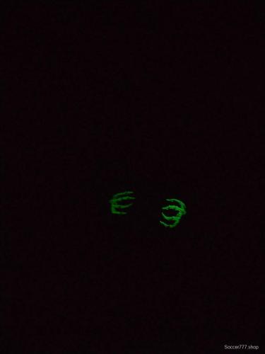 25/26 Napoli Black Halloween Hoodie Glow In Dark