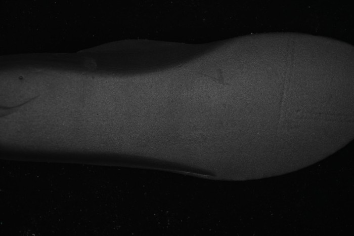 Nike Air Max 95/97 Storm Full-Sole Air Cushion Retro Running Shoes - IM2174-001