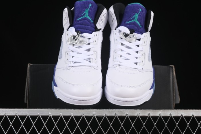 Nike Air Jordan 5 OG Grape Basketball Shoes - HQ7978-100