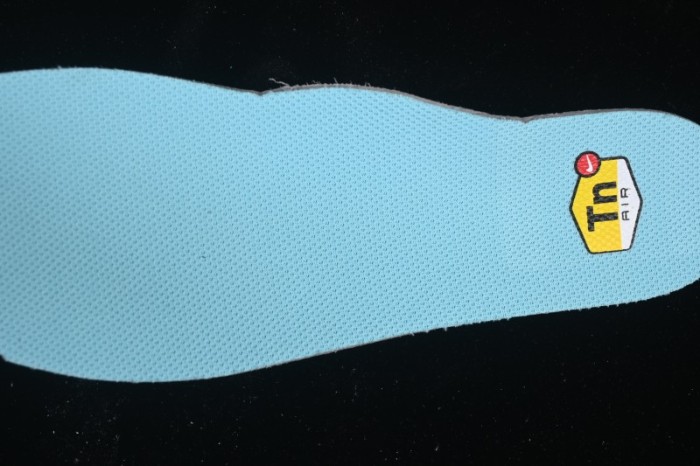 Nike Air Max Plus Retro Running Shoes with Air Cushion - DM0032-016