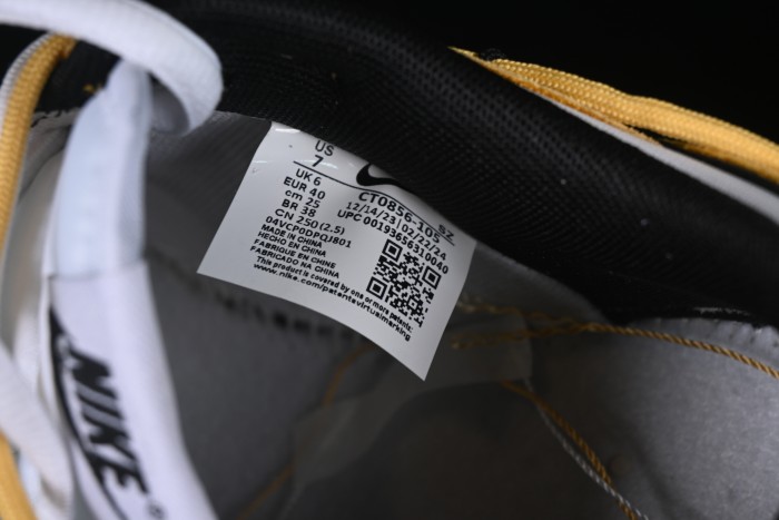 Nike SB Dunk Low Hot Blooded Lace-Up Low-Top Casual Skate Shoes - CT0856-105