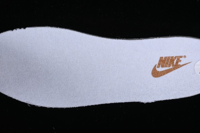 Nike Dunk Low Reverse Curry SB Casual Sneakers - FQ6965-700 1