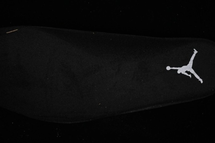 Nike Air Jordan 12 Retro Basketball Shoes in Wolf Grey - CT8013-010