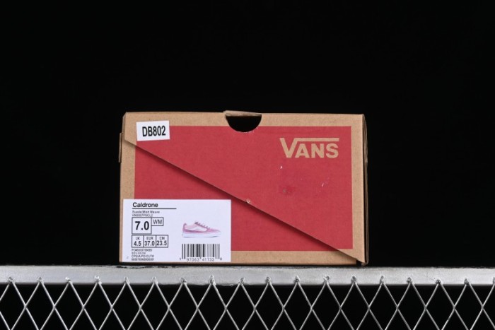 Vans Caldrone Classic Retro Chunky Skate Shoes - VN0007P9CL2 1