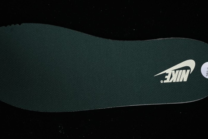 Nike Dunk Low Green Snake SB Low-Top Casual Skate Shoes - FQ8893-397 1