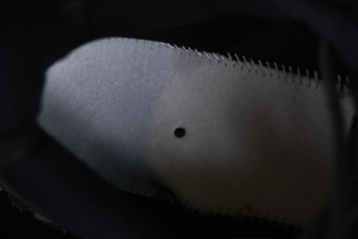 Nike ACG Mountain Fly 2 Low SP Outdoor Hiking Shoes with GORE-TEX and React Foam - FZ3311-001