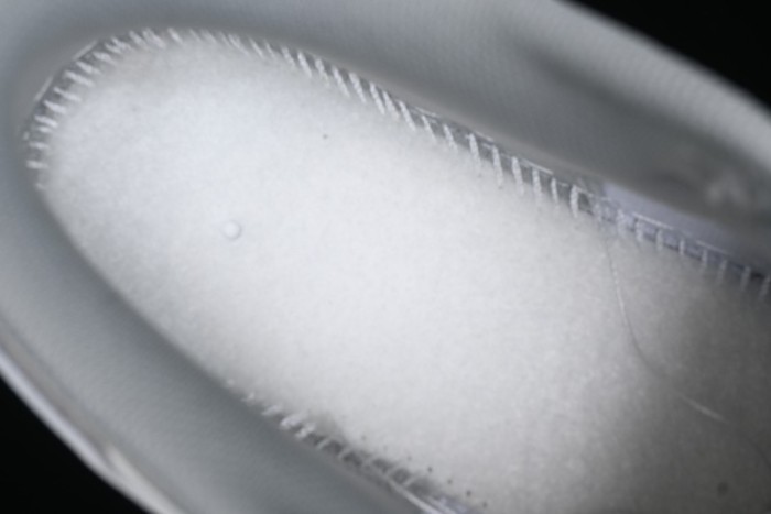 Nike Reigning Champ SB Dunk Low Casual Skate Shoes with 3M Reflective Details - RC3085-892