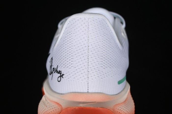 Nike Air Zoom Pegasus 41 Lightweight Breathable Running Shoes with Cushioning - HJ7037-100