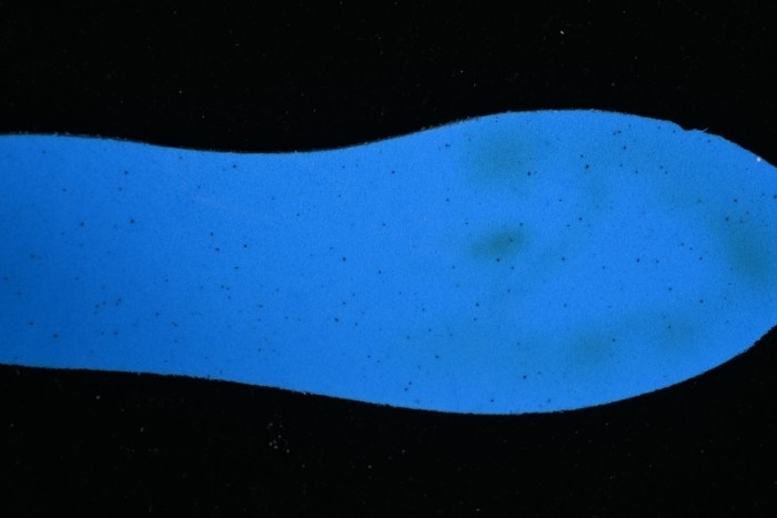 Adidas Forum 84 Low Retro Basketball Shoes - JH6287