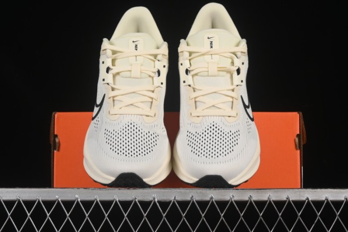 Nike Quest 6 Extreme Series Cushioned Lightweight Running Shoes - FD6033-104