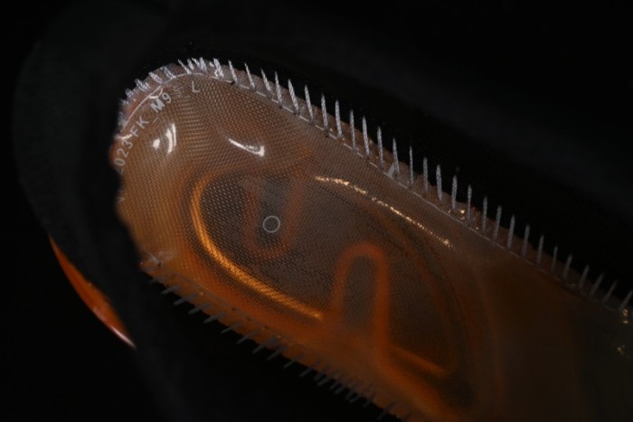 Nike Vapormax 2023 Flyknit Breathable Casual Running Shoes with Full-Length Air Cushion - DV1678-014