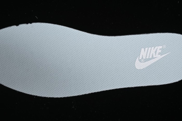 Nike SB Dunk Low Coast Denim Low-Top Casual Skate Shoes - FB9109-105