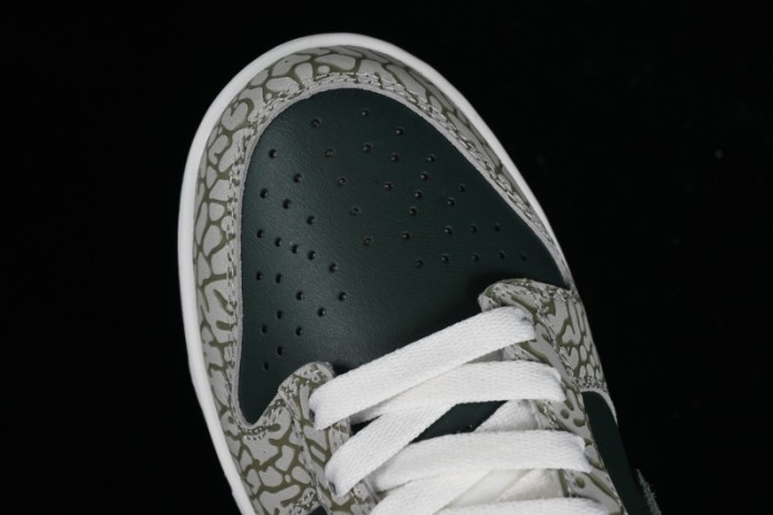 Nike Dunk Low Urban Landscape 2.0 Cracked Suede SB Low-Top Casual Sneakers - HF4878-053 1