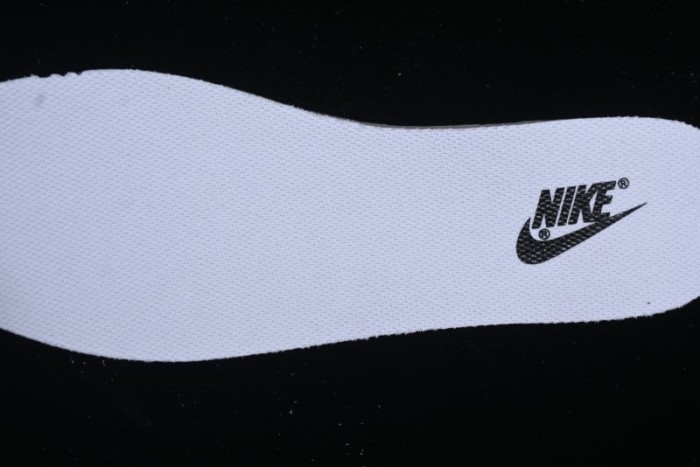 Nike Dunk Low Retro Panda Oxidized Vintage High Street Casual Sneakers - DD1391-100