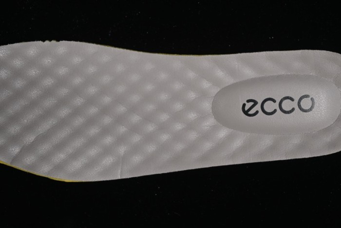 Ecco Heat Cool Lightweight Series 2024 Spring Summer Mesh Breathable Walking Casual Travel Shoes - 63132101001 1