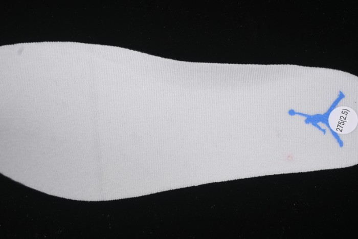 Nike Air Jordan 3 Retro Lucky Shorts Basketball Shoes - CT8532-101