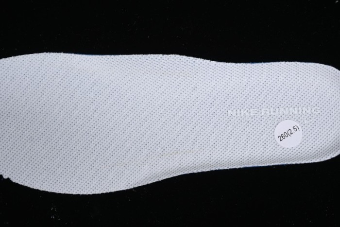 Nike Air Zoom Vomero 17 Lunar Summer 2024 Cushioned Casual Running Shoes - FB1309-100 1