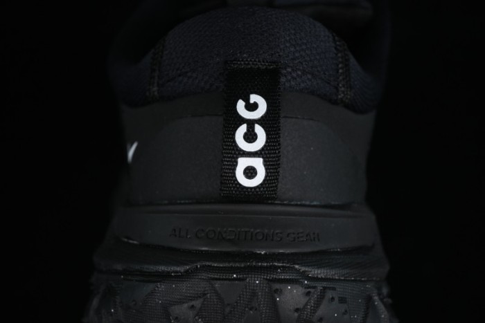 Nike ACG Mountain Fly 2 Low SP Outdoor Hiking Shoes with GORE-TEX and React Foam - FZ3311-001