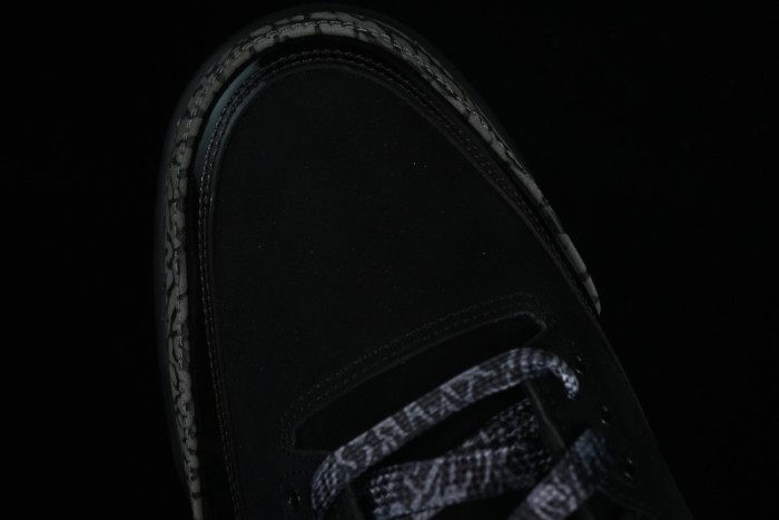 Nike Air Jordan 3 Retro Sneakers in Black with Elephant Print - CK9246-168 1