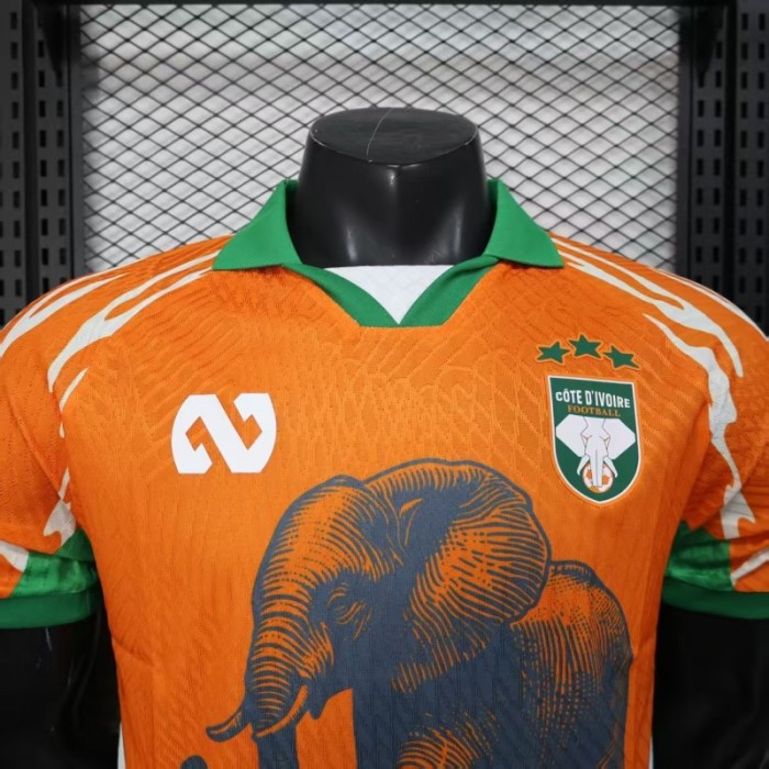 Player Version 2025 Ivory Coast Orange with Elephant Graphic and Green Accents Jersey
