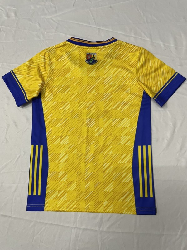 25/26 Kids Roscommon GAA Yellow and Blue Away Jersey