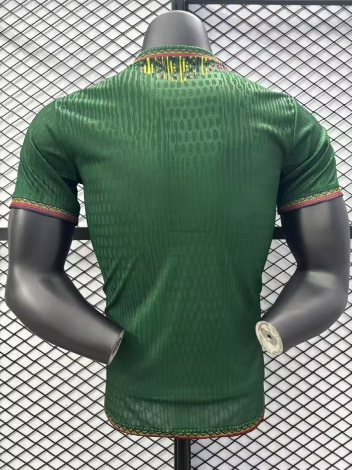 Player Version 2025 Mali Away Jersey