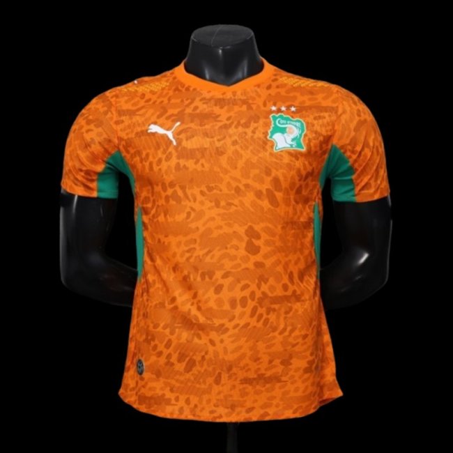 2026 Player Version Ivory Coast Home Jersey