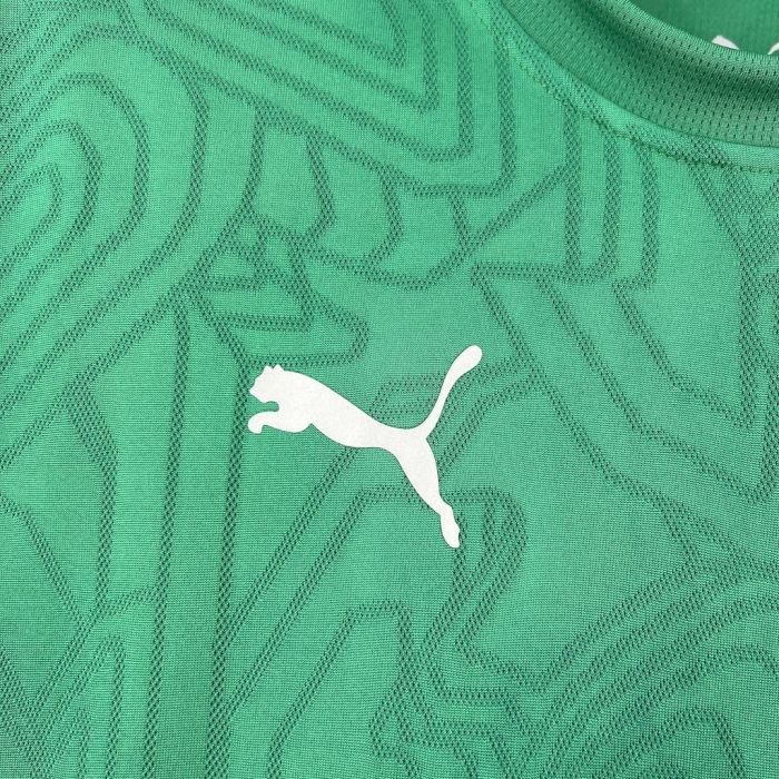 2025/26 Mens Fluminense Pre-Match Jersey