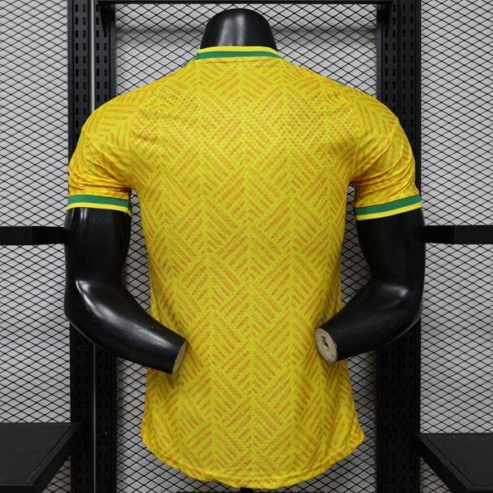 Player Version 26/27 South Africa Yellow & Green  Home Jersey (Adidas)
