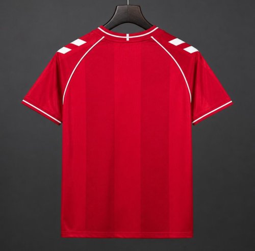 2026 Denmark Home Jersey