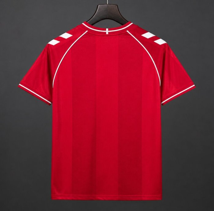2026 Denmark Home Jersey