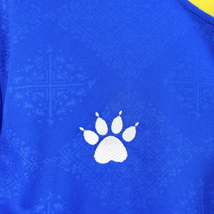 2026 Mens Bosnia And Herzegovina World Cup Home Jersey