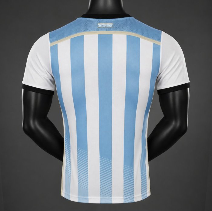 Player Versiono 2014 Argentina Home Jersey