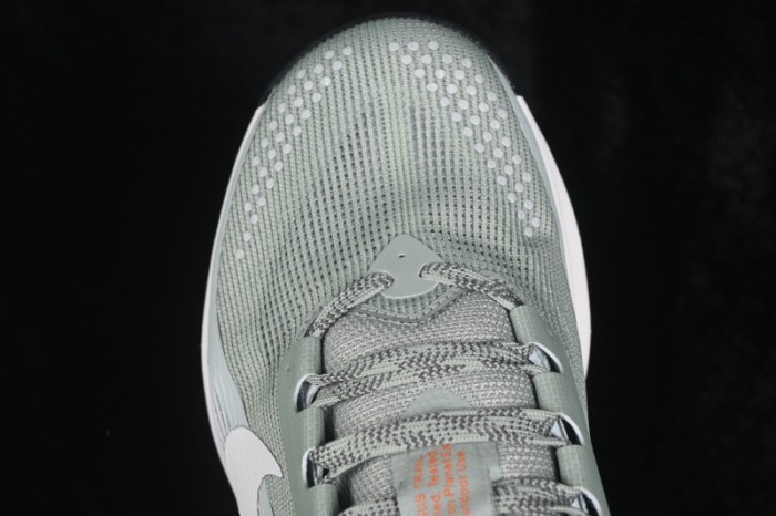 Nike ACG Pegasus Trail Cushioned Running Shoes with Breathable Mesh Upper - HV8116-310