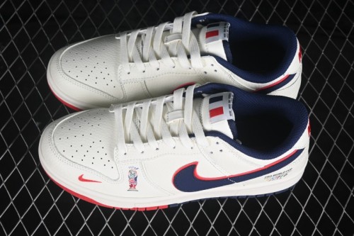 Nike SB Dunk Low World Cup Theme Premium Custom Low-Top Skateboarding Shoes - NH0601-497