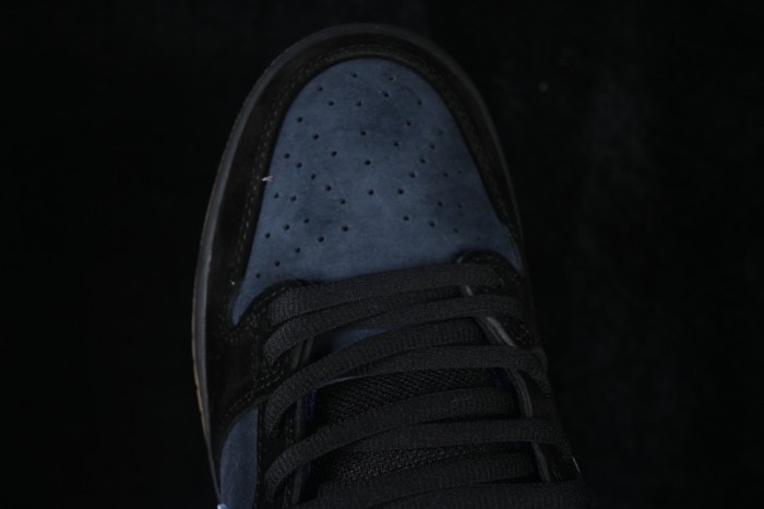 Nike SB Dunk Low SB Low-Top Casual Skate Shoes - HQ1625-500