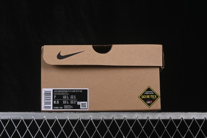 Nike ACG Mountain Fly Low GTX SE Outdoor Hiking Shoes - IV2864-320
