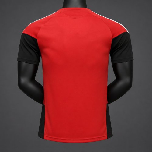 Player Version 26/27 Germany National Team Home Red Jersey