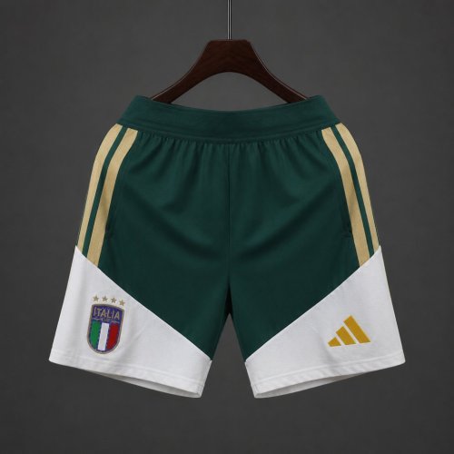 Player Version  2026 Italy National Team  Training Green Shorts