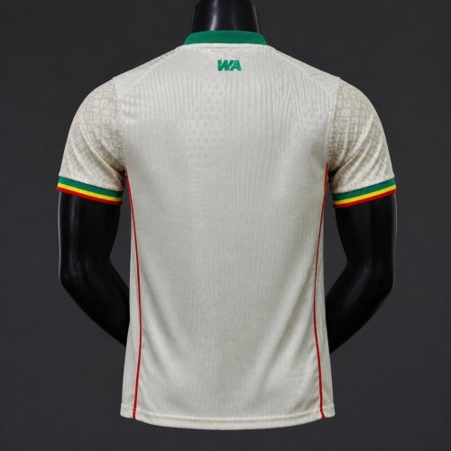 Player Version  26/27 Mali Home Jersey