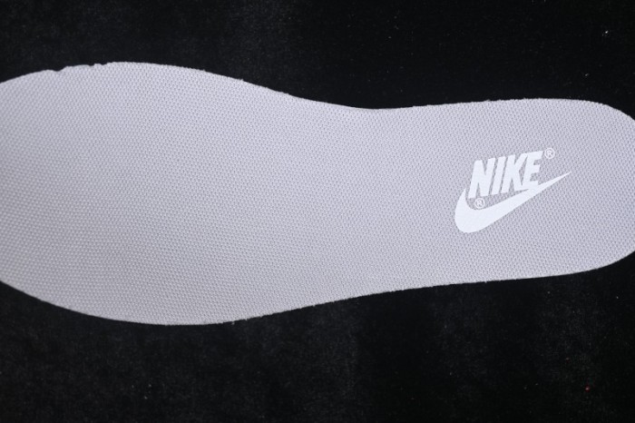 Nike SB Dunk Low Strap Low-Top Casual Skate Shoes - FB9109-123