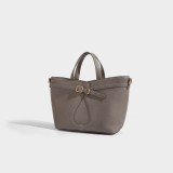 elephant gray