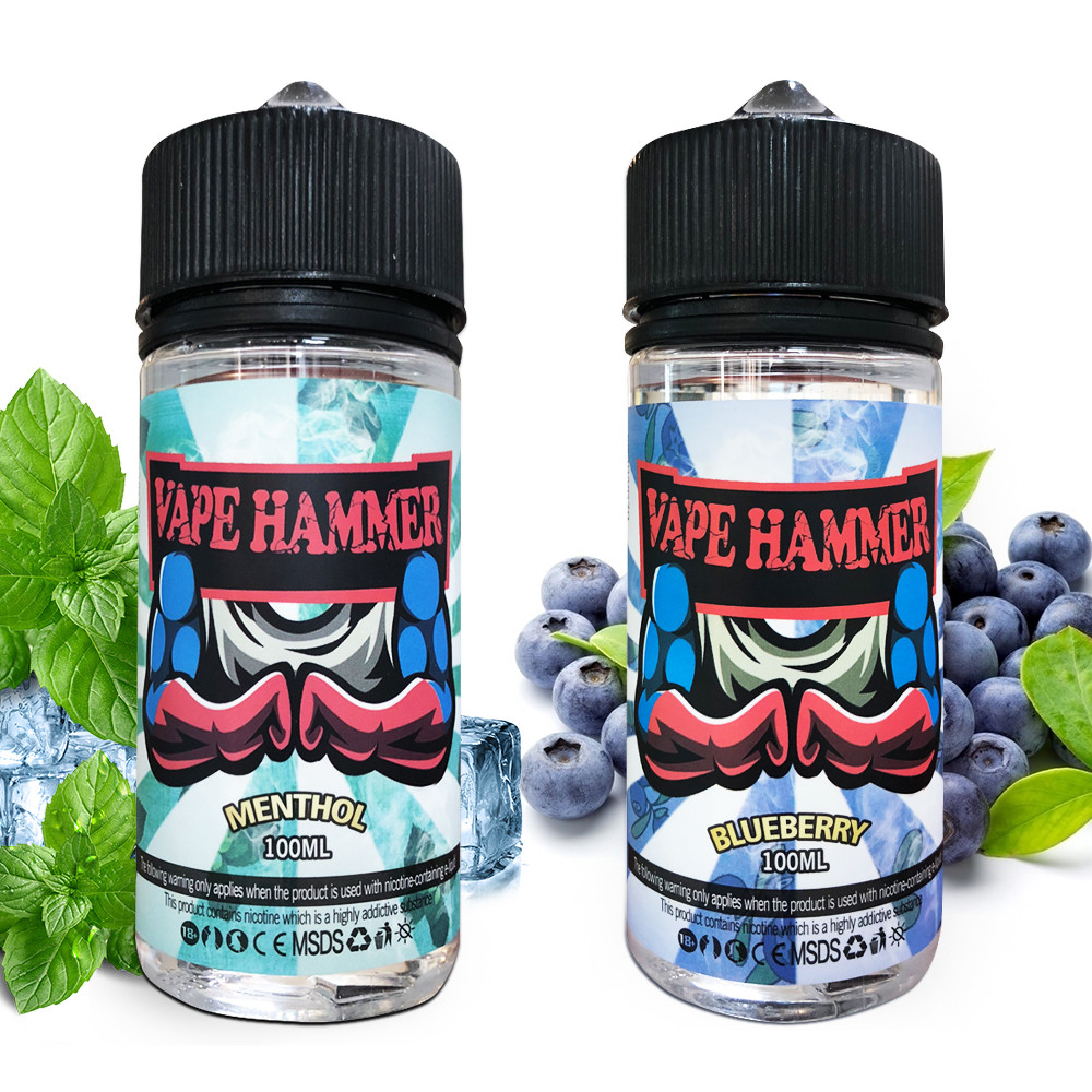 Two Flavors Blueberry & Menthol Vape Juice Bundle 100mlx2 Online Vape