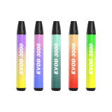 Disposable Vape 3000 Puff 2% Nicotine