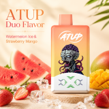 ATUP 2 in 1 , Rechargeable Disposable Vape Pen 2% Nic,LED Display,2*30 ML E-Liquid Electronic Cigarette Vaporizer