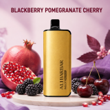 ALIBARBAR 9000 Puff Rechargeable Disposable Vape Pen, 3% Nicotine, 18ml E-Liquid, Electronic Cigarette, Vaporizer